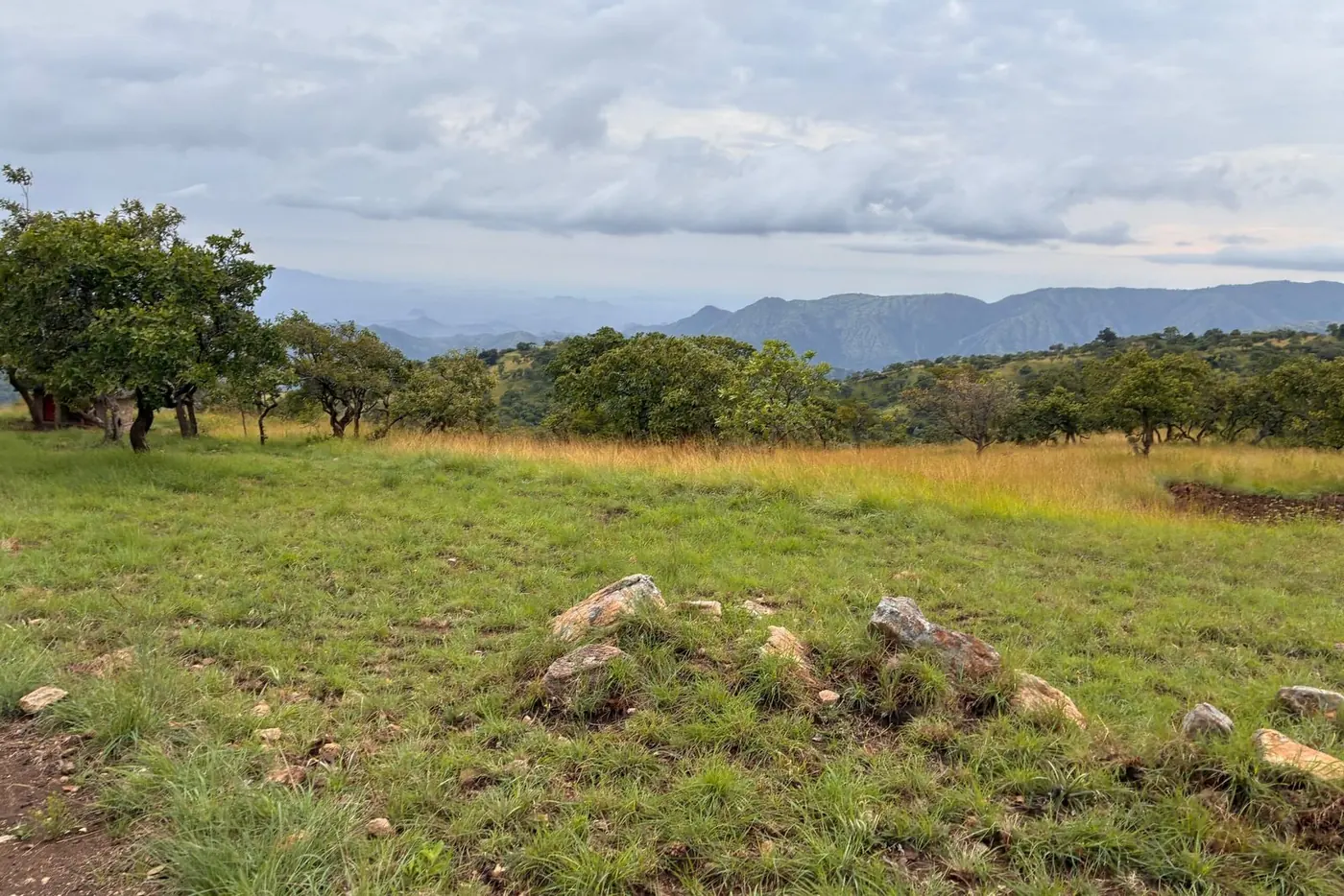 Karamoja