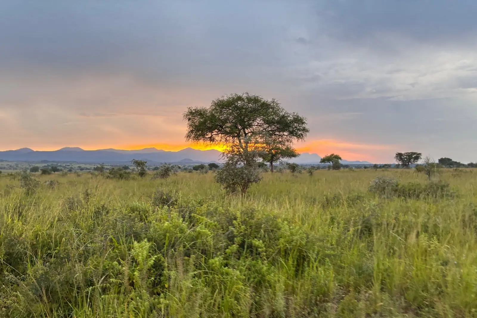 Kidepo Valley National Park